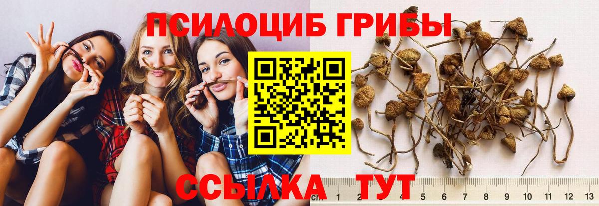 закладка  Вход с VPN  Алатырь  Галлюциногенные грибы ЛСД 